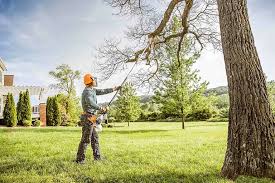 Best Arborist Consultation Services  in Del Rey Oaks, CA