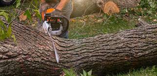 Best Artificial Turf Installation  in Del Rey Oaks, CA